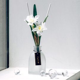 [It`s my flower] Birth Flower daffodil diffuser set of January, Air Freshener _ Made in KOREA